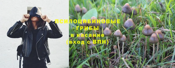 ALPHA PVP Кодинск