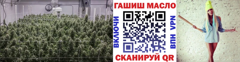 Дистиллят ТГК Wax  продажа наркотиков  Приозерск 